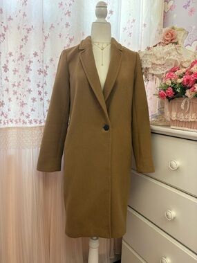 Aritzia Babaton The Stedman Coat